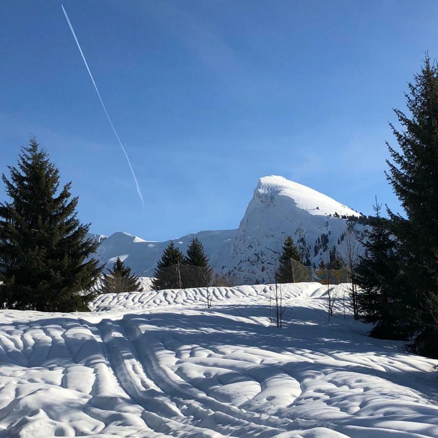 L'Ours Blanc Lodge Le Biot Esterno foto